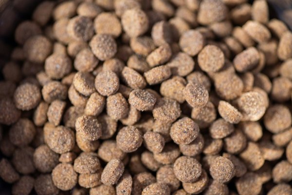 Croquettes françaises  pour chiens et chats : qualité à Angers